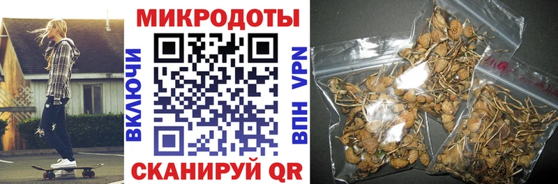 Галлюциногенные грибы Psilocybine cubensis  Тбилисская 
